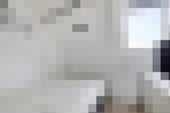 De Korrel 13 Erica thumbnail 26