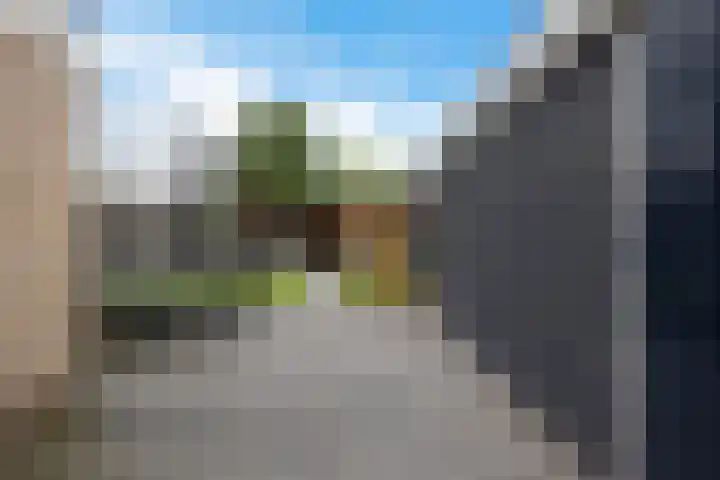 De Korrel 13 Erica thumbnail 34