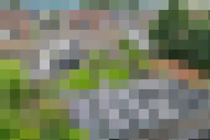 De Korrel 13 Erica thumbnail 36