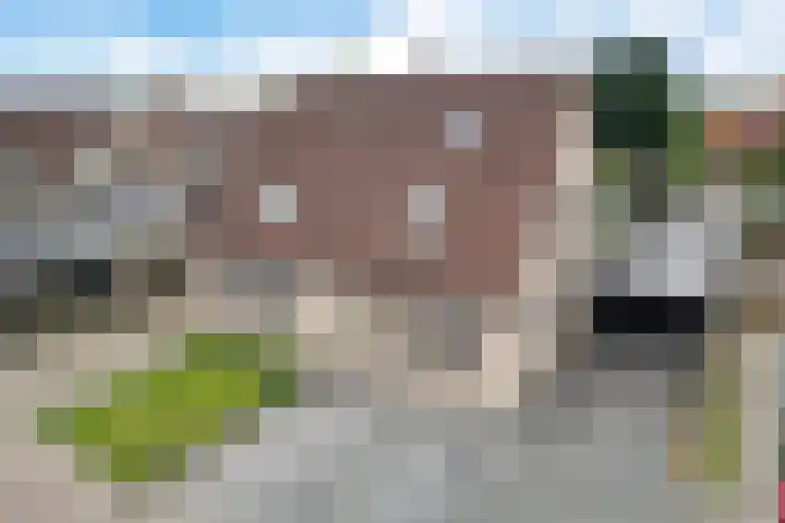 De Korrel 13 Erica thumbnail 38