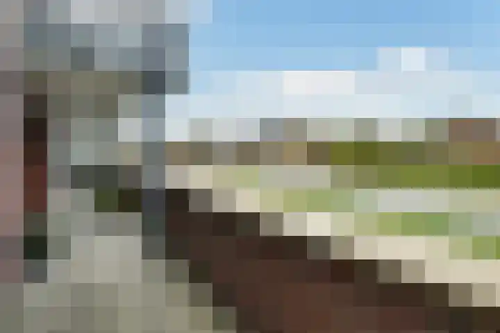De Korte Helster 62 Elst thumbnail 14