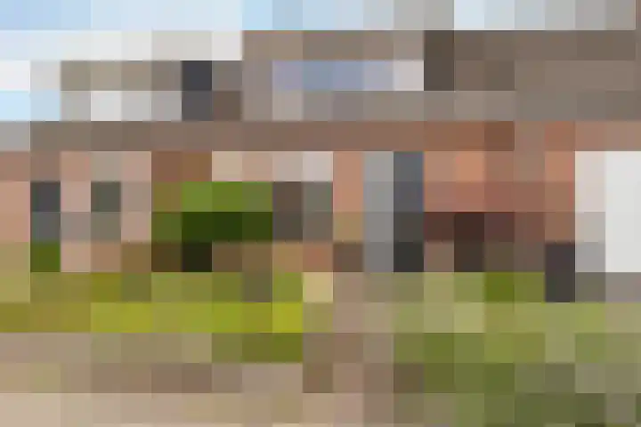 de Korten 3 Ossenzijl