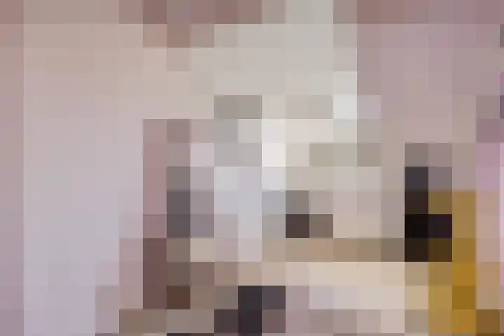 de Korten 3 Ossenzijl thumbnail 15