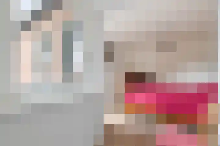 de Korten 3 Ossenzijl thumbnail 17