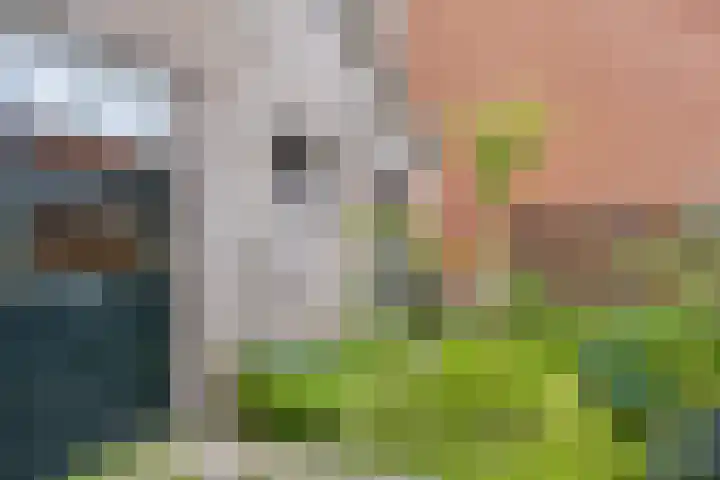 de Korten 3 Ossenzijl thumbnail 26