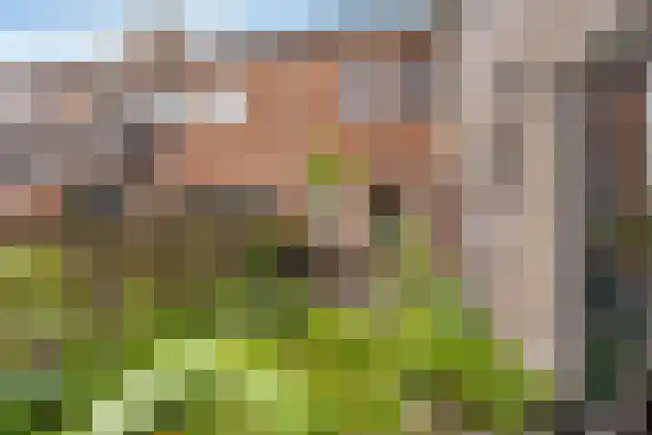 de Korten 3 Ossenzijl thumbnail 27