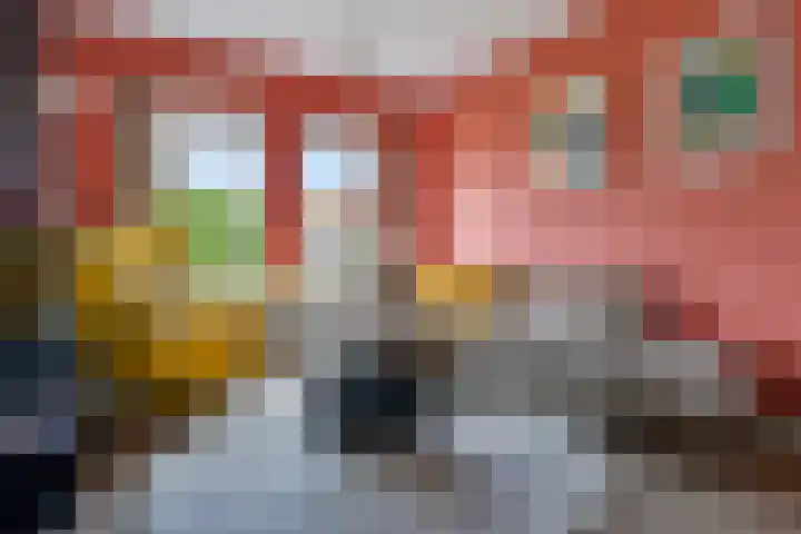 de Korten 3 Ossenzijl foto 3