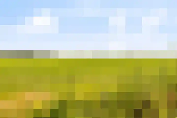 de Korten 3 Ossenzijl thumbnail 32