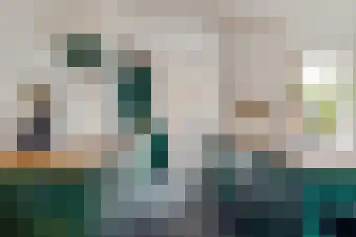 de Korten 3 Ossenzijl thumbnail 6