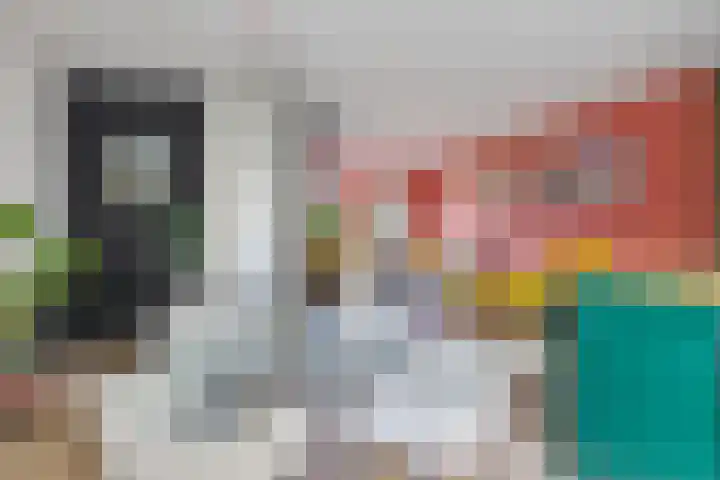 de Korten 3 Ossenzijl thumbnail 9