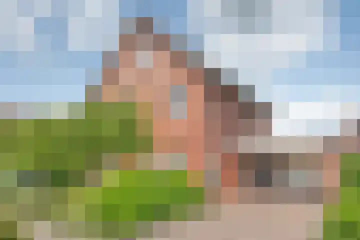 De Kosterij 20 in Ruinerwold