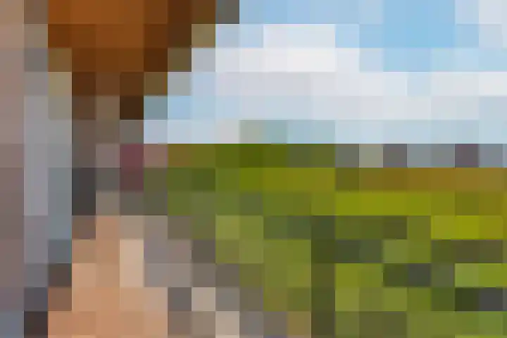 De Kranshof 6 Tiel thumbnail 12