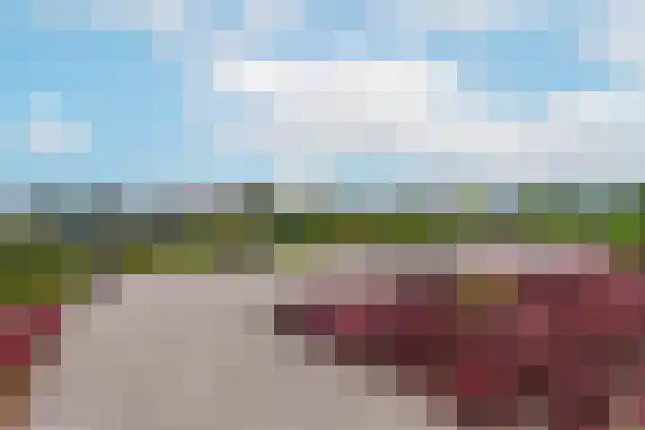 De Kranshof 6 Tiel thumbnail 14