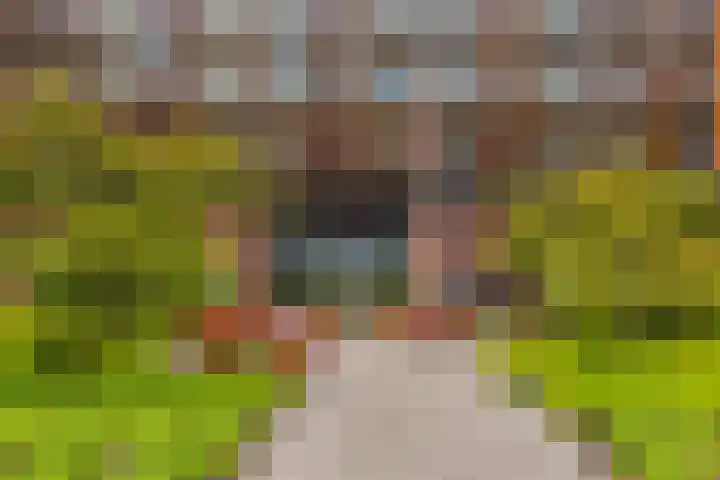 De Kranshof 6 Tiel thumbnail 29