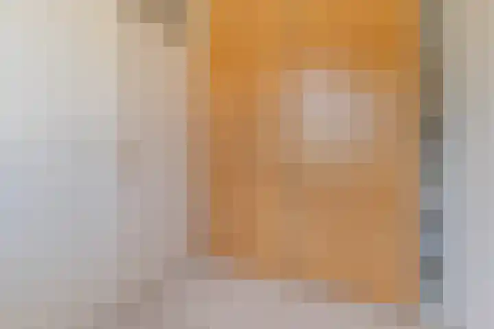 De Kreek 11 Heiloo thumbnail 13