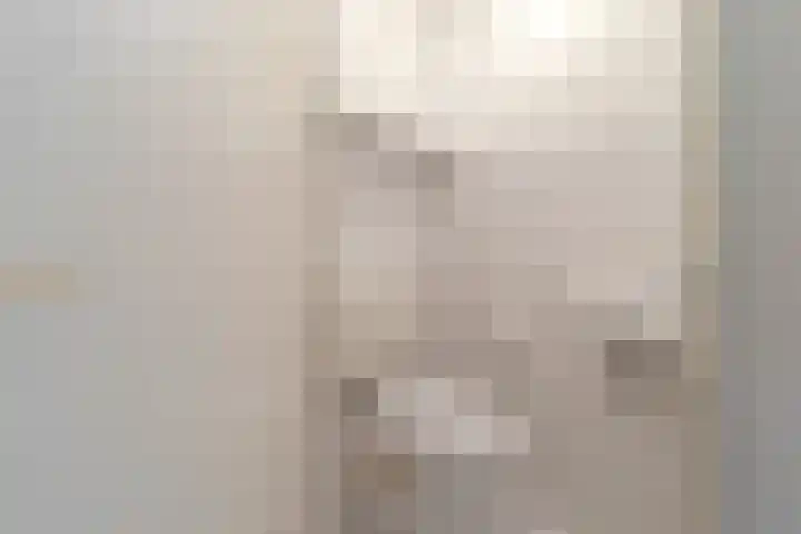 De Kreek 11 Heiloo thumbnail 17