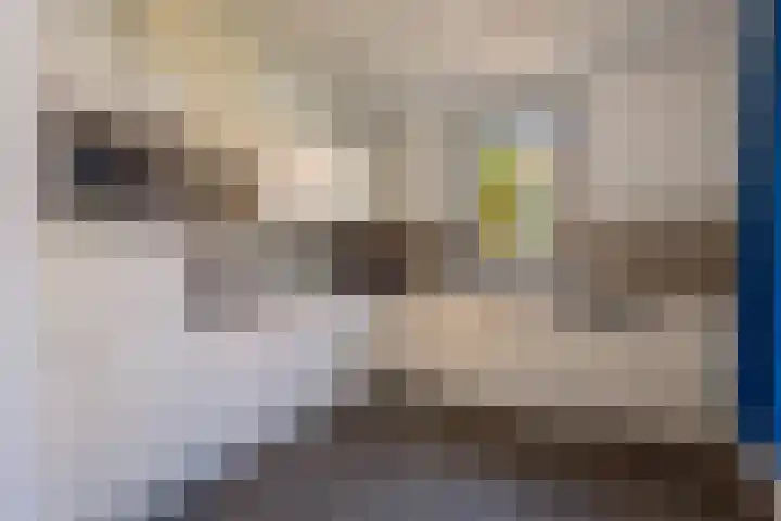 De Krom 215 Volendam thumbnail 12