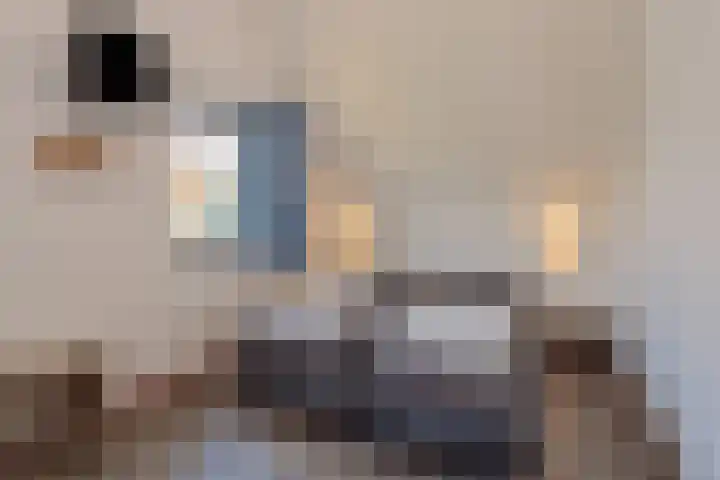 De Krom 215 Volendam thumbnail 18