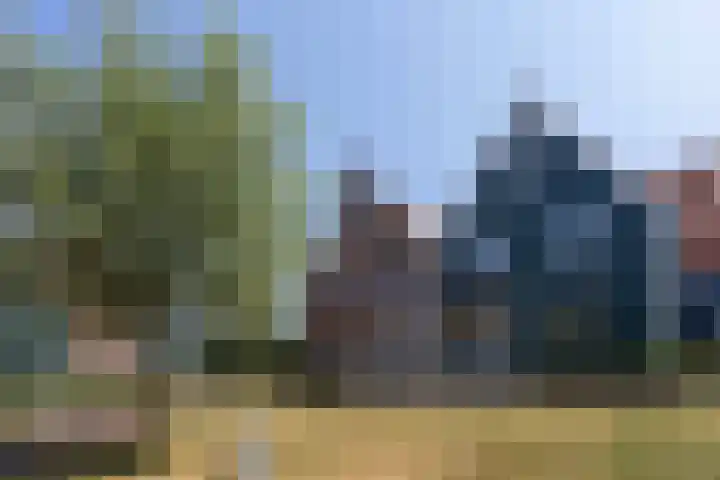 De Krom 215 Volendam thumbnail 4