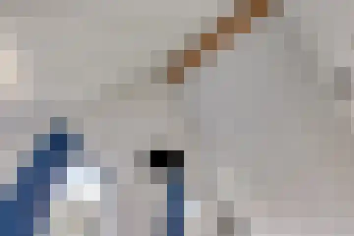De Krom 221 Volendam thumbnail 20
