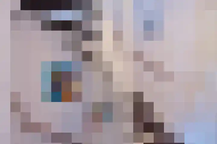 De Kropaar 52 Heesch thumbnail 14