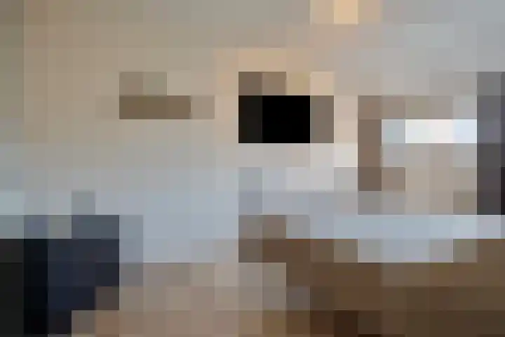 De Kropaar 52 Heesch thumbnail 15