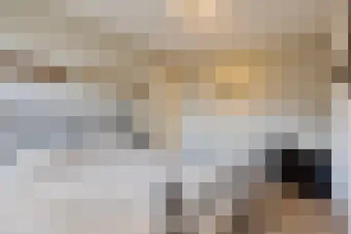 De Kropaar 52 Heesch thumbnail 16