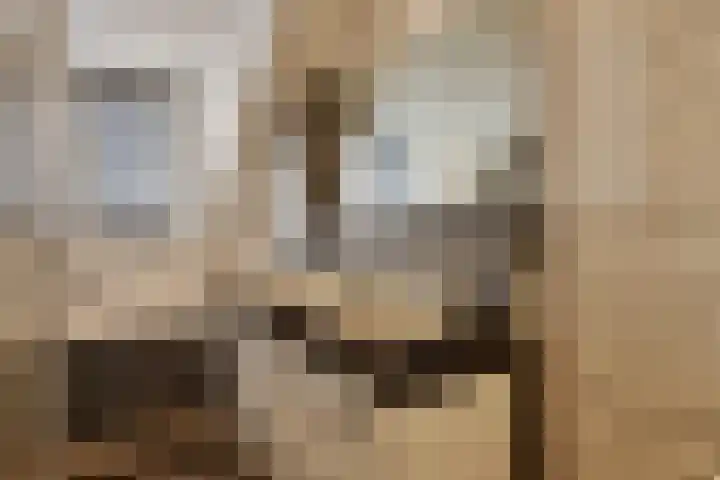 De Kropaar 52 Heesch thumbnail 21