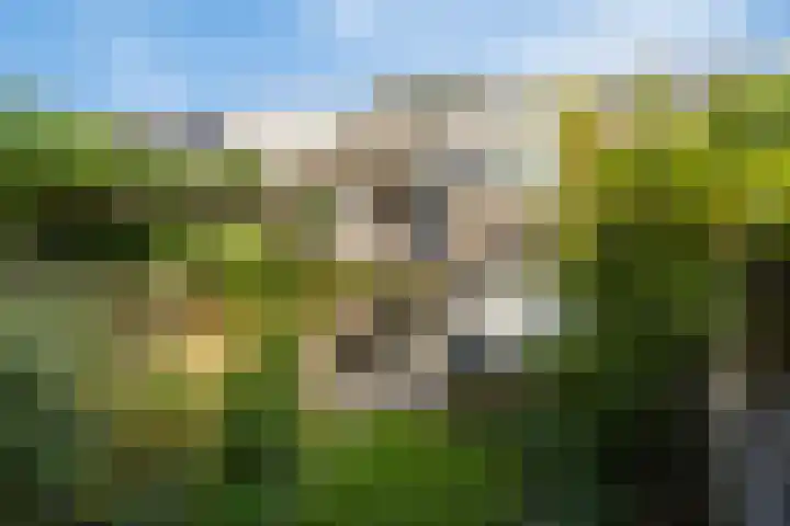 De Kropaar 52 Heesch thumbnail 29