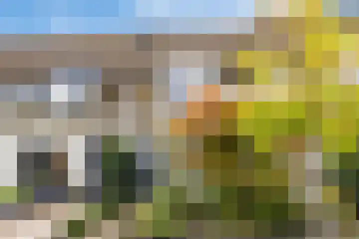 De Kropaar 52 Heesch thumbnail 30