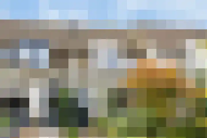 De Kropaar 52 Heesch thumbnail 31