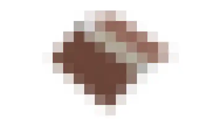 De Kropaar 52 Heesch thumbnail 33