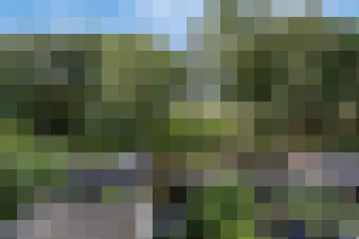 De Kropaar 52 Heesch thumbnail 33