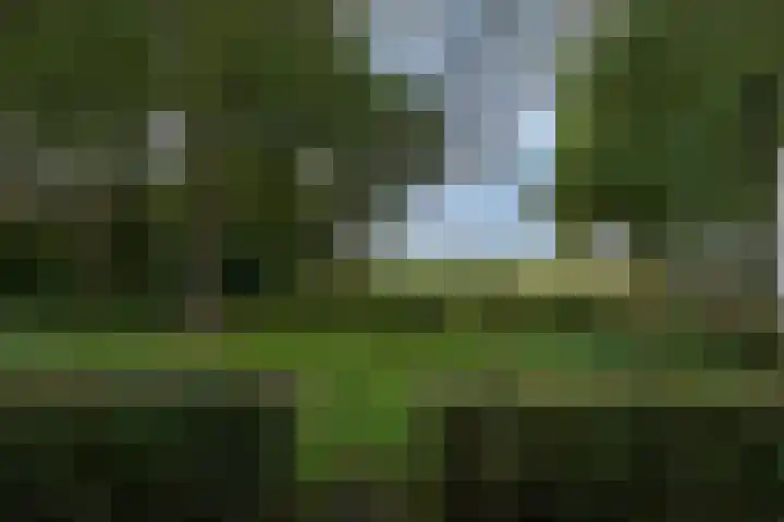 De Kropaar 52 Heesch thumbnail 34