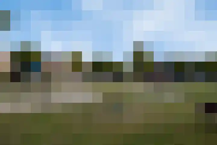 De Kropaar 52 Heesch thumbnail 35