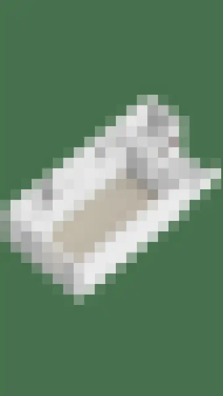 De Kropaar 52 Heesch thumbnail 39