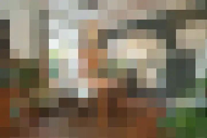 De Kropaar 52 Heesch thumbnail 45