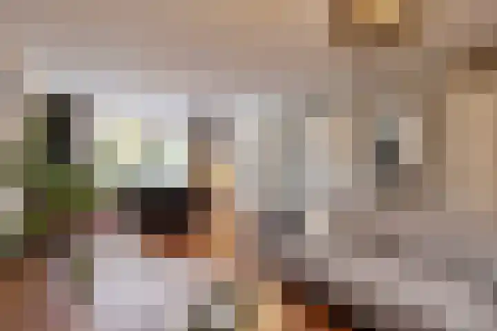 De Kropaar 52 Heesch thumbnail 8