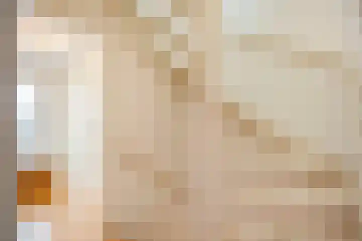 De Kruiskamp 25 Overasselt thumbnail 18