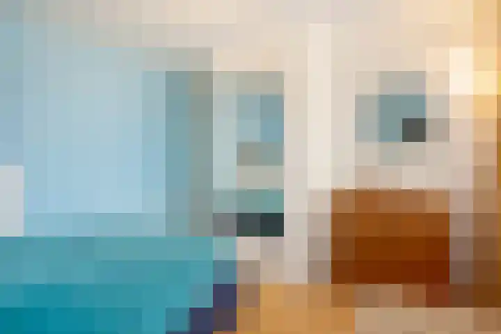 De Kruiskamp 25 Overasselt thumbnail 20
