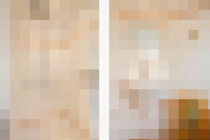 De Kruiskamp 25 Overasselt thumbnail 26