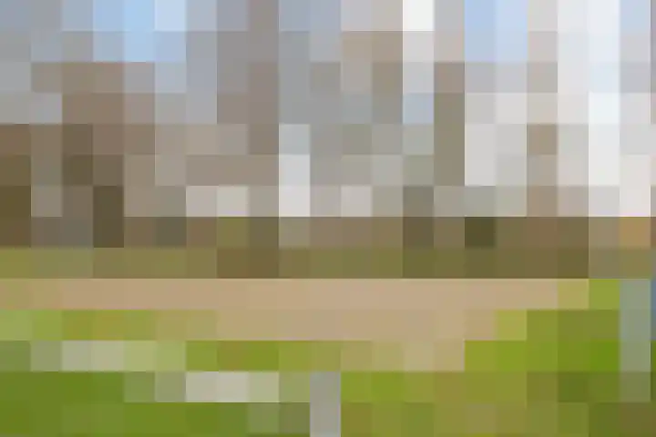 De Kruiskamp 25 Overasselt thumbnail 36