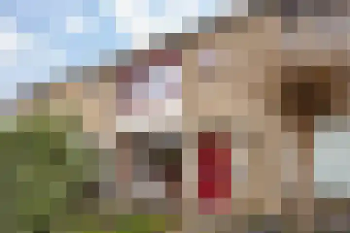 De Kruiskamp 25 Overasselt thumbnail 5