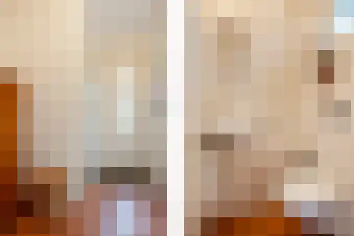 De Kruiskamp 25 Overasselt thumbnail 6