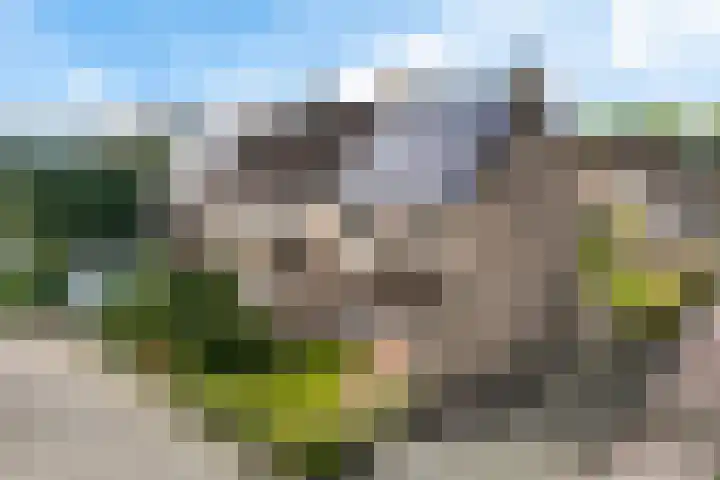 De Kubbing 15 Borger thumbnail 10