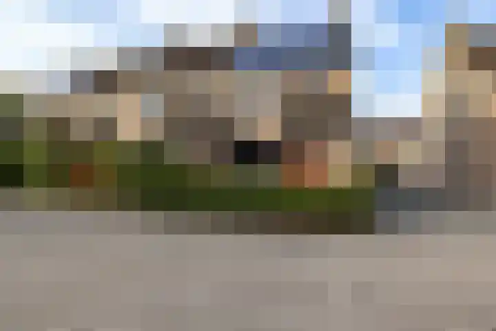 De Kubbing 15 Borger thumbnail 11