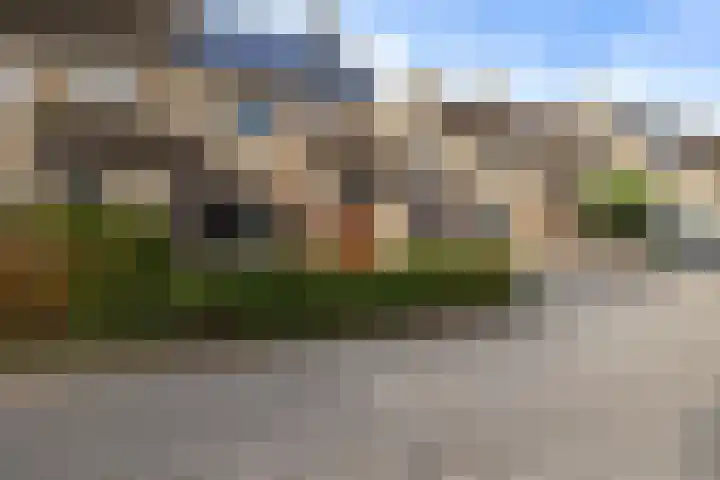 De Kubbing 15 Borger thumbnail 13