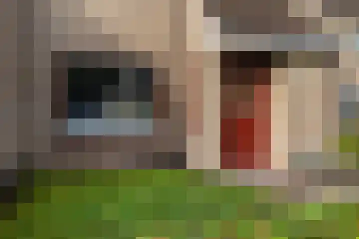 De Kubbing 15 Borger thumbnail 14