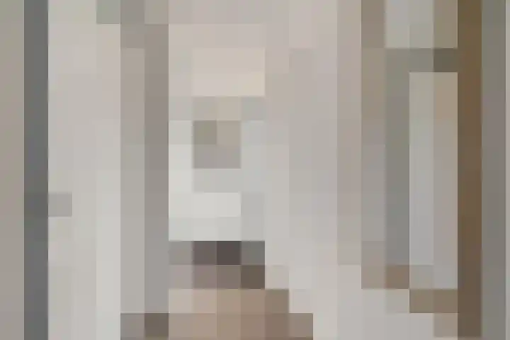 De Kubbing 15 Borger thumbnail 15