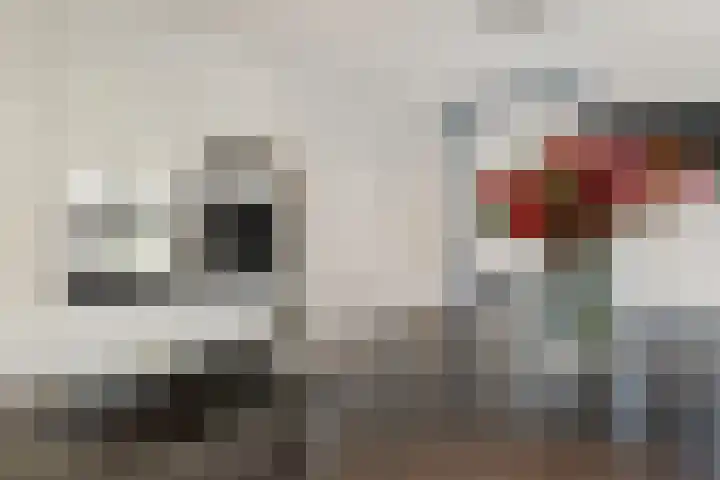 De Kubbing 15 Borger thumbnail 19